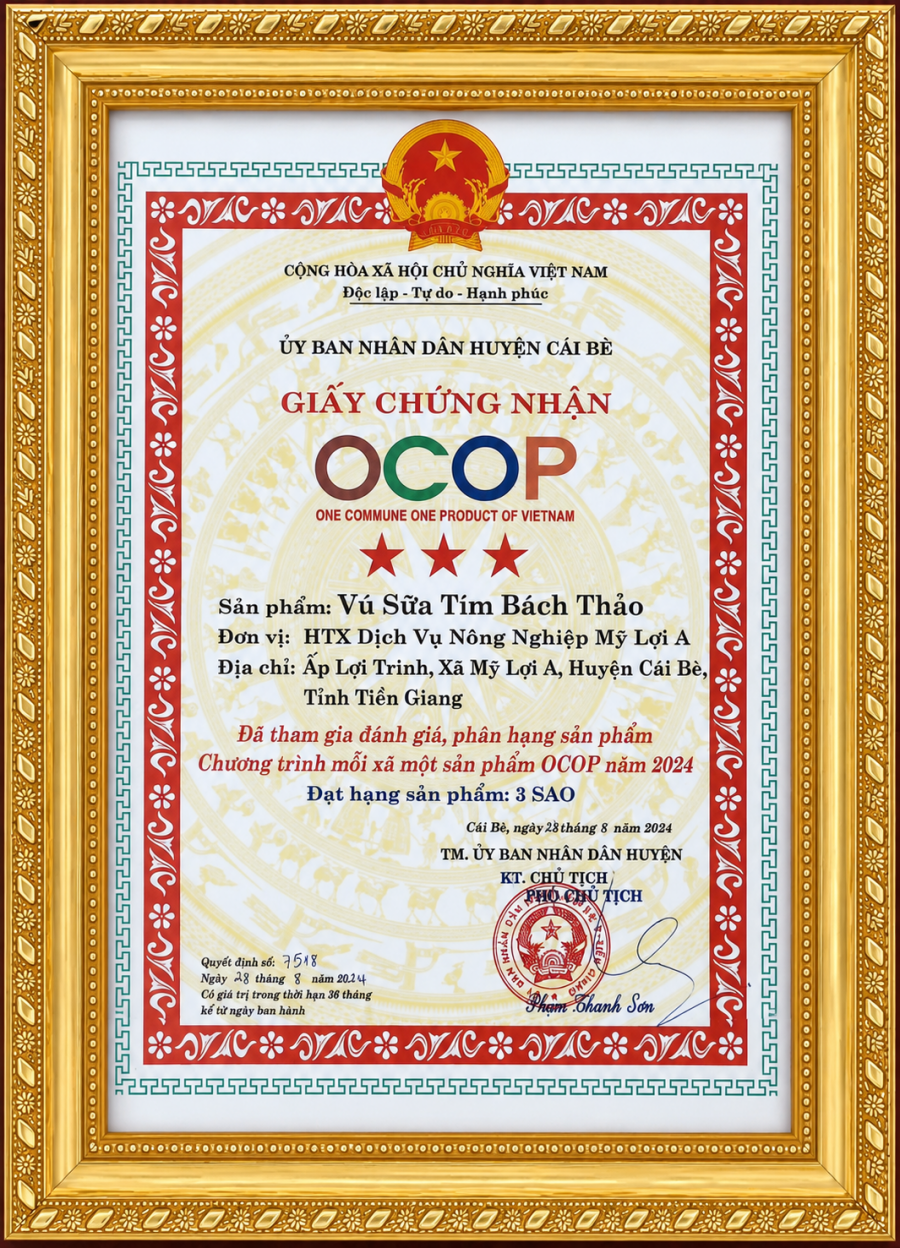 QUY TRÌNH SẢN XUẤT