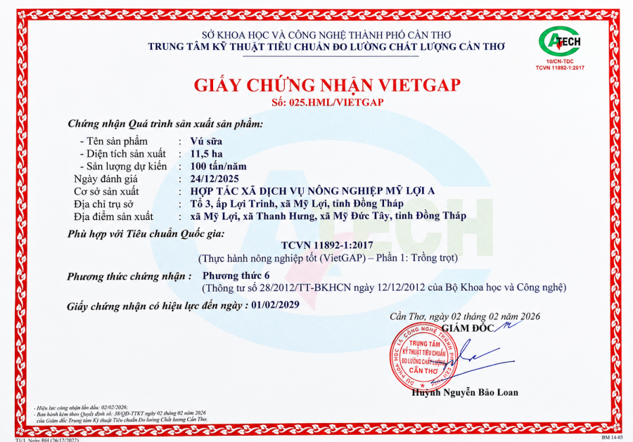 QUY TRÌNH SẢN XUẤT