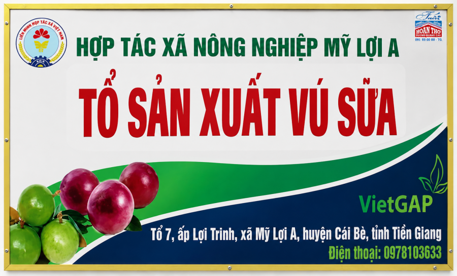 QUY TRÌNH SẢN XUẤT