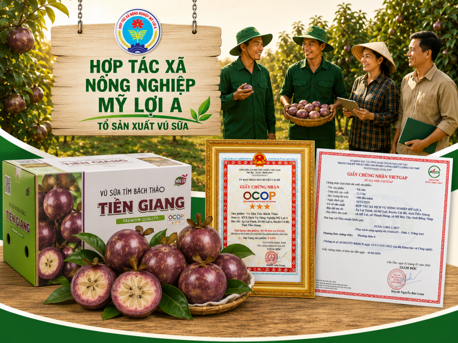 QUY TRÌNH SẢN XUẤT