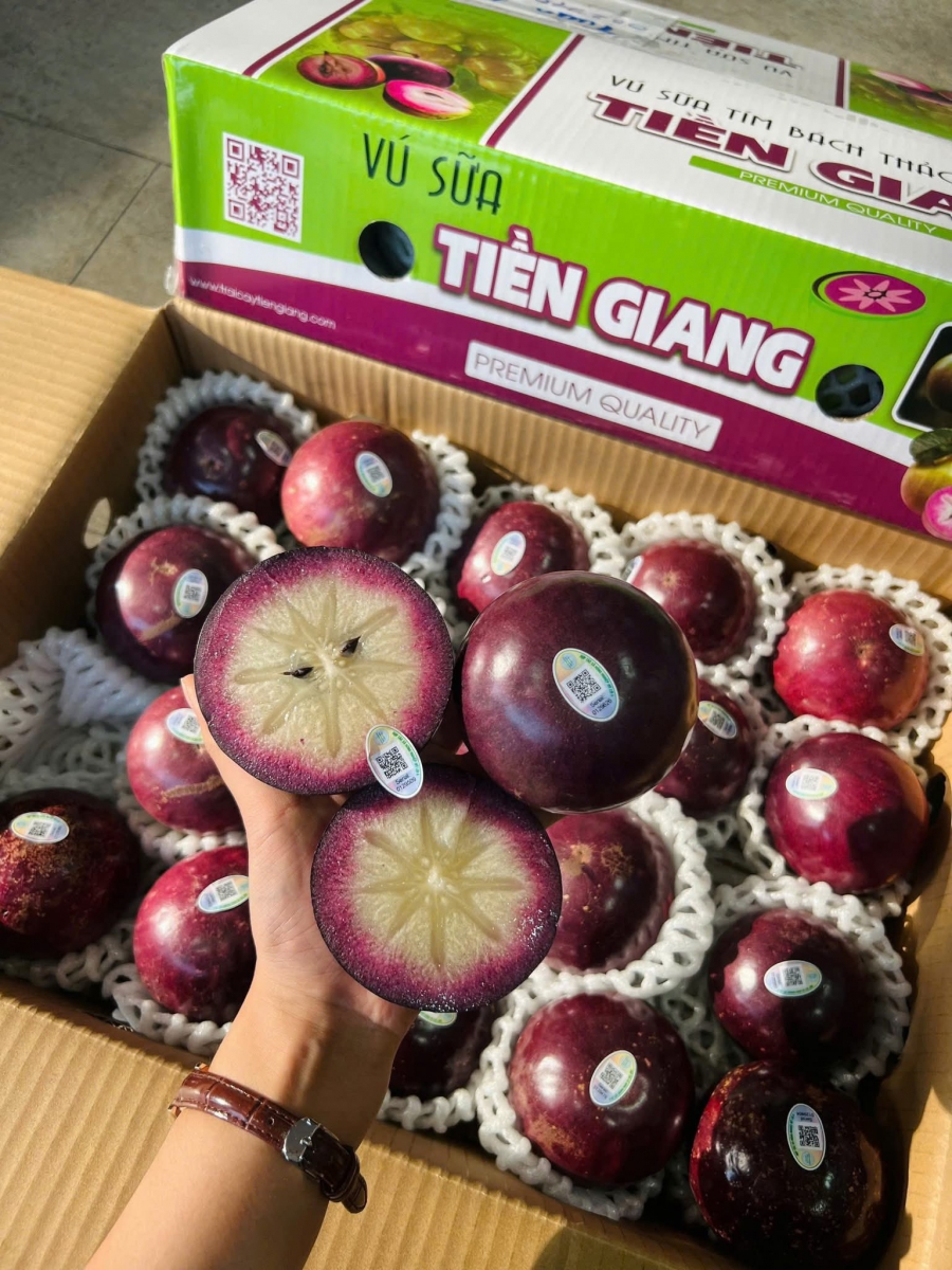 Vú sữa tím Bách Thảo