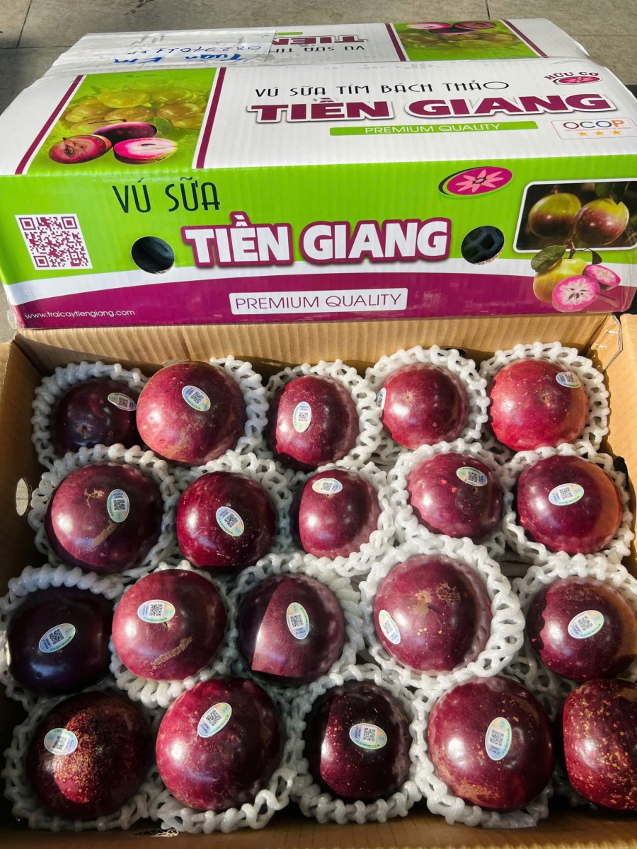 Vú sữa tím Bách Thảo