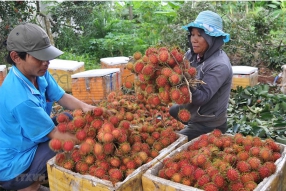 Tiêu đề bài viết của doanh nghiệp 3