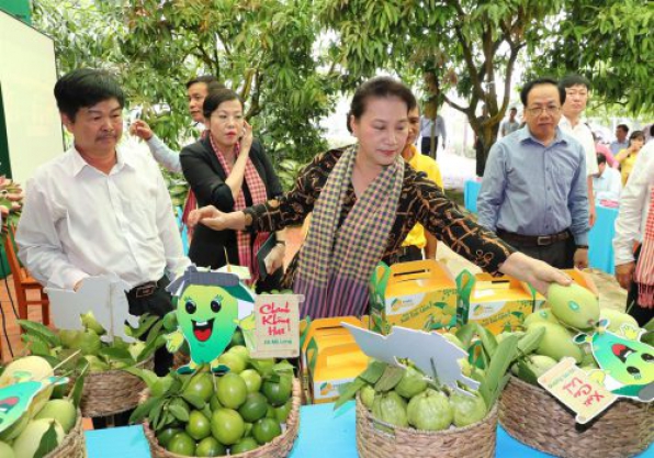 Giới thiệu về doanh nghiệp