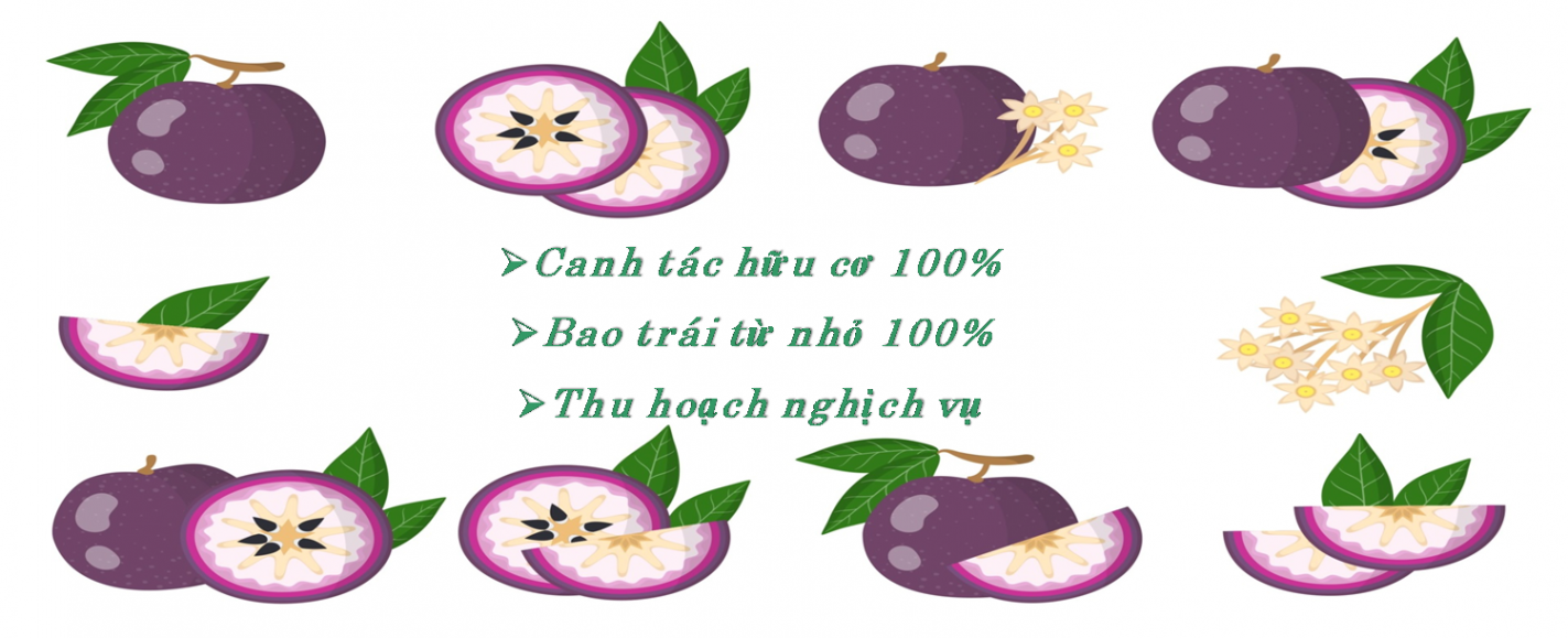 Tiêu đề 3