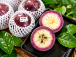 Vú sữa tím Bách Thảo