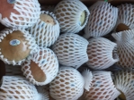 Vú sữa Bơ Hồng
