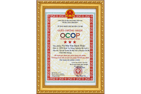 Giấy chứng nhận OCOP