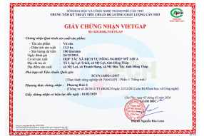 Giấy chứng nhận VietGap