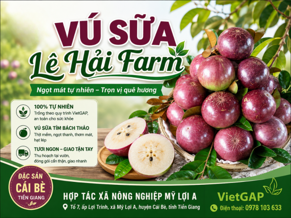 Giới thiệu về doanh nghiệp